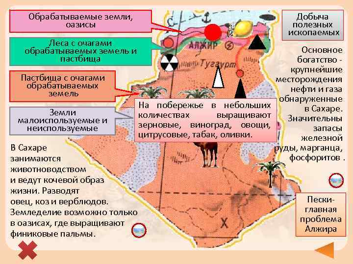 Обрабатываемые земли, оазисы Леса с очагами обрабатываемых земель и пастбища Пастбища с очагами обрабатываемых