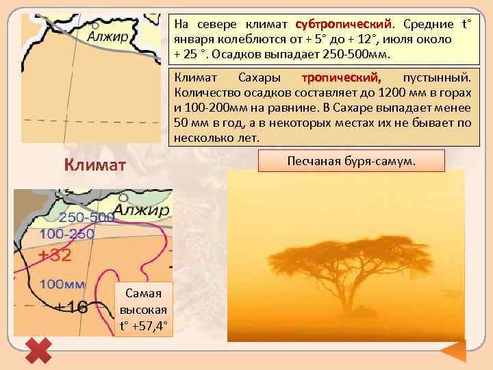 На севере климат субтропический. Средние t° субтропический января колеблются от + 5° до +