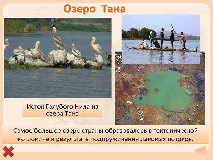 Озеро Тана Исток Голубого Нила из озера Тана Самое большое озеро страны образовалось в