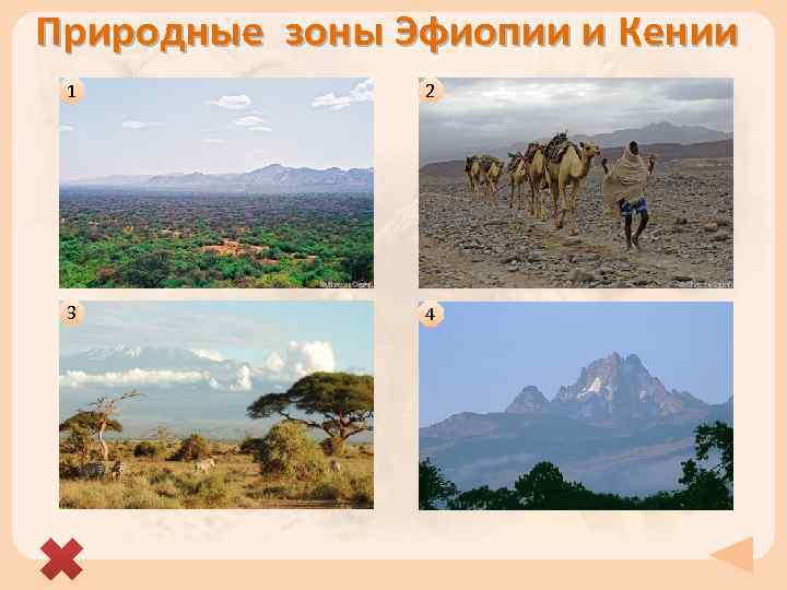 Природные зоны Эфиопии и Кении 1 2 3 4 