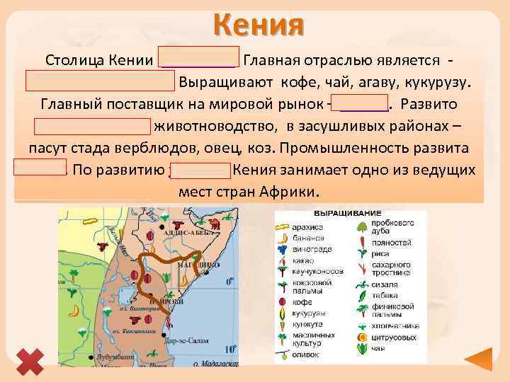 Географическое положение и рельеф африки и австралии