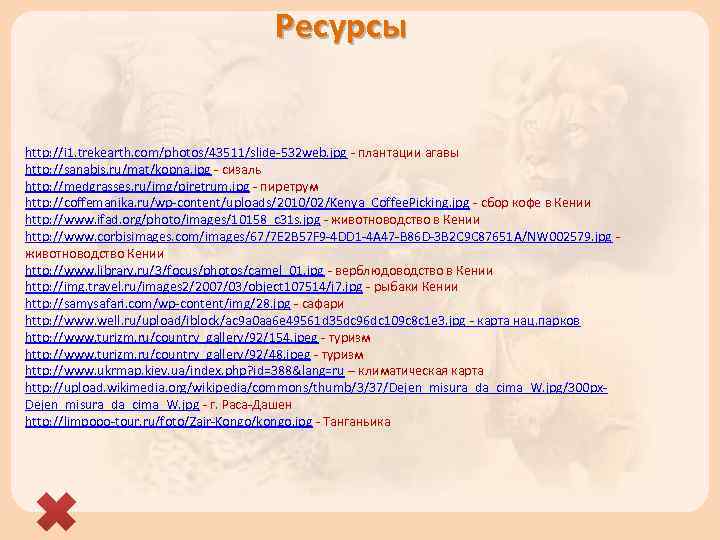 Ресурсы http: //i 1. trekearth. com/photos/43511/slide-532 web. jpg - плантации агавы http: //sanabis. ru/mat/kopna.