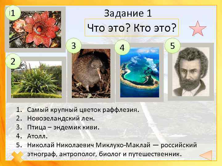  Задание 1 1 Что это? Кто это? 3 4 5 2 1. 2.