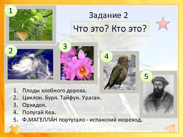 1 Задание 2 Что это? Кто это? 3 2 4 5 1. 2. 3.