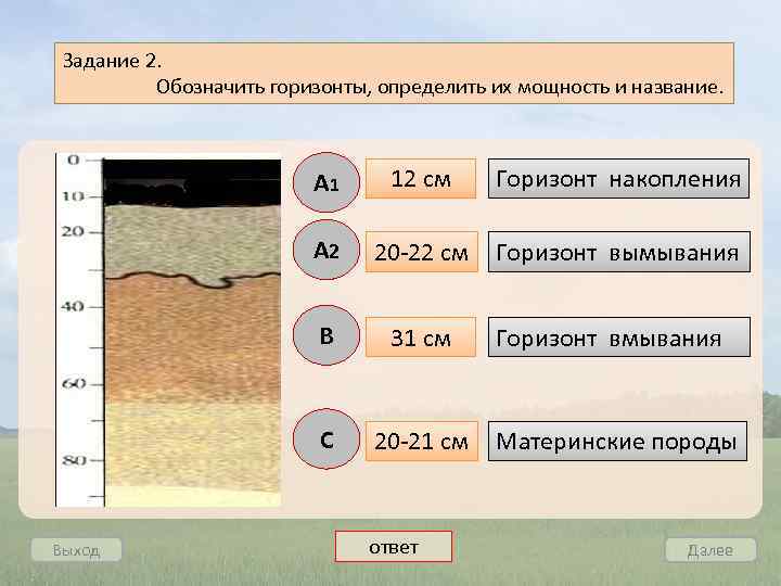 Задание 2. Обозначить горизонты, определить их мощность и название. А 1 12 см Горизонт