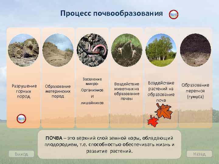 Процесс почвообразования Разрушение горных пород Выход Образование материнских пород Заселение микро. Организмов И лишайников