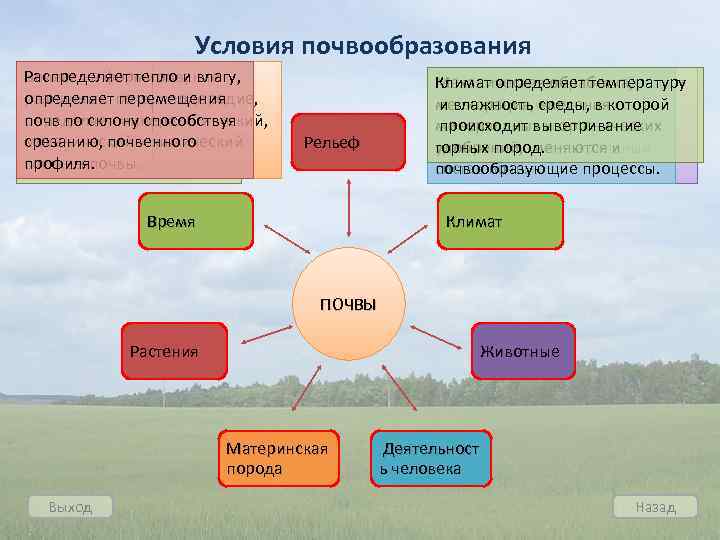 Факторы почвообразования