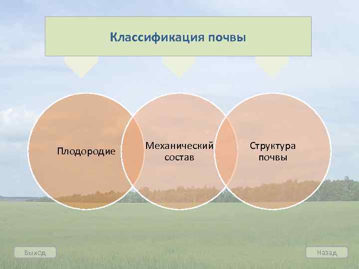 Классификация почвы Плодородие Выход Механический состав Структура почвы Назад 