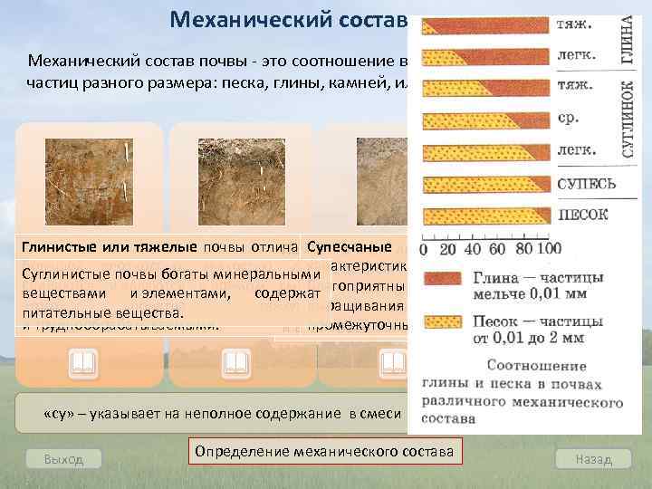 Механический состав почвы - это соотношение в ней твердых минеральных частиц разного размера: песка,
