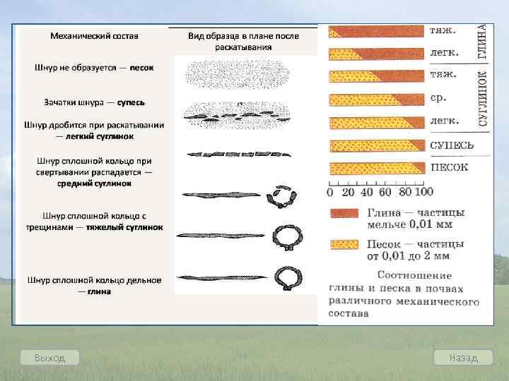 Выход Назад 