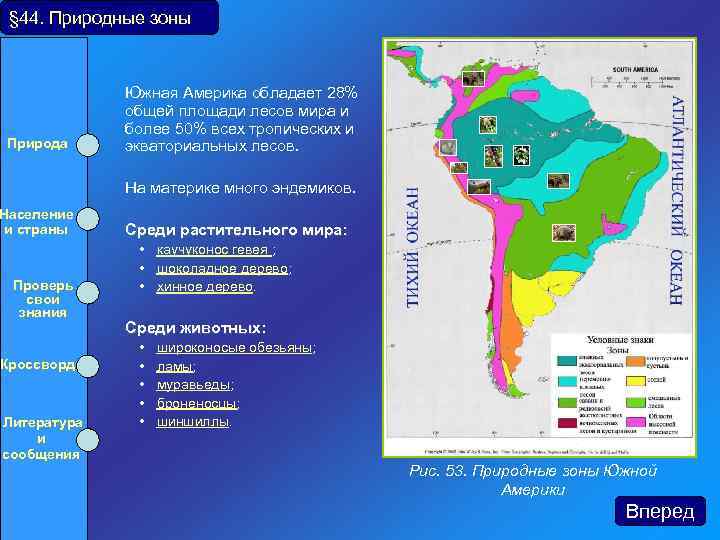 § 44. Природные зоны Природа Население и страны Проверь свои знания Кроссворд Южная Америка