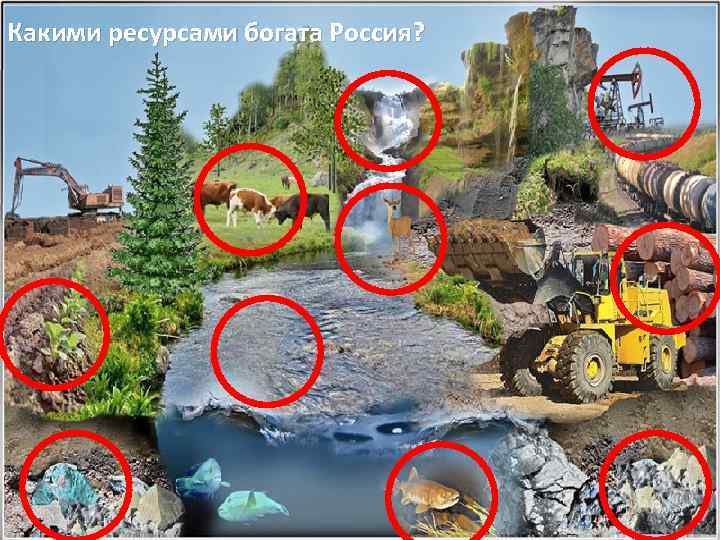 Какими ресурсами богата Россия? 