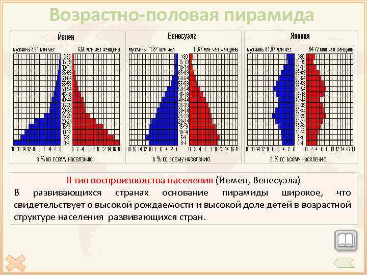 Как построить половозрастную диаграмму