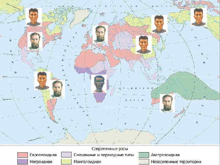 Человеческие расы Ученые выделяют три главные или большие расы: Европеоидная Негроидная Монголоидная Расы сформировались