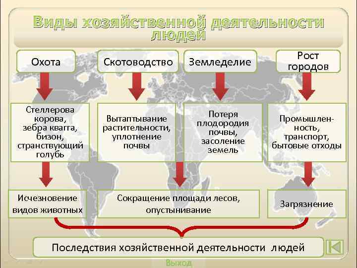 Виды хозяйственной деятельности людей Охота Стеллерова корова, зебра квагга, бизон, странствующий голубь Исчезновение видов