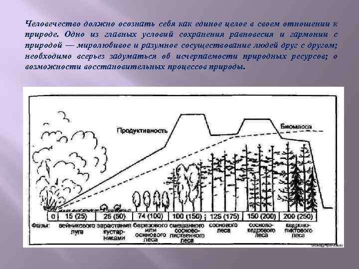 Человечество должно осознать себя как единое целое в своем отношении к природе. Одно из