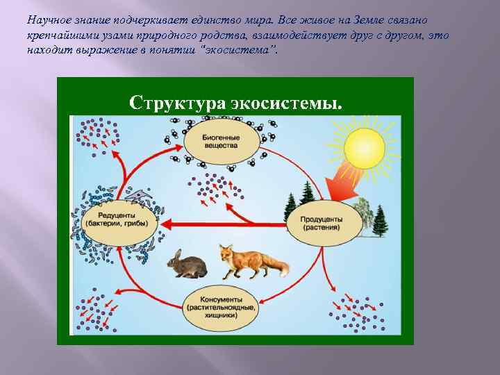 Научное знание подчеркивает единство мира. Все живое на Земле связано крепчайшими узами природного родства,