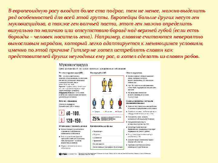 В европеоидную расу входит более ста подрас, тем не менее, можно выделить ряд особенностей