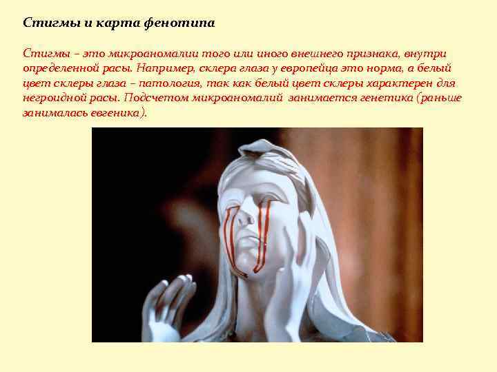 Стигмы и карта фенотипа Стигмы – это микроаномалии того или иного внешнего признака, внутри