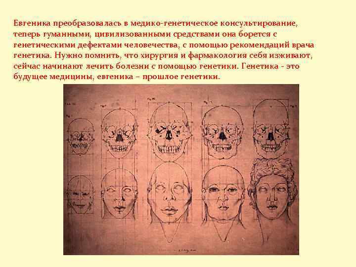 Евгеника преобразовалась в медико-генетическое консультирование, теперь гуманными, цивилизованными средствами она борется с генетическими дефектами