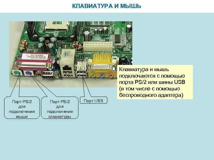 КЛАВИАТУРА И МЫШЬ Клавиатура и мышь подключаются с помощью порта PS/2 или шины USB