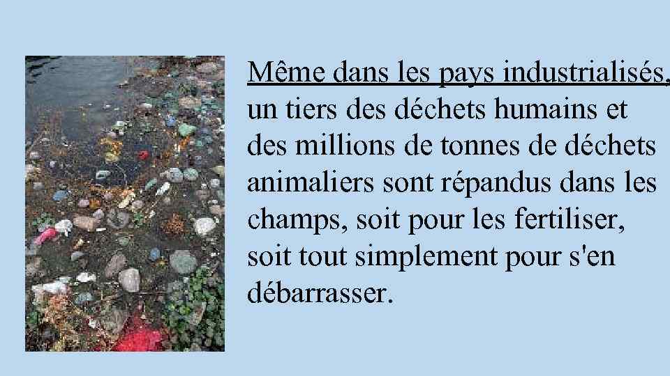 Même dans les pays industrialisés, un tiers des déchets humains et des millions de