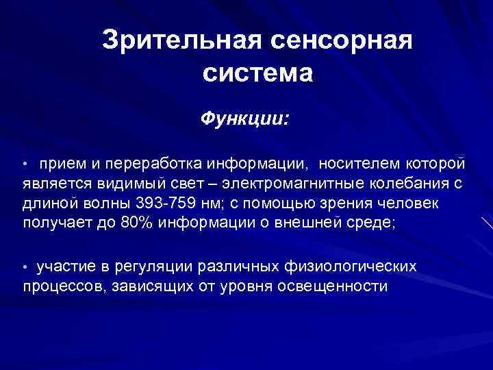 Зрительная сенсорная система презентация