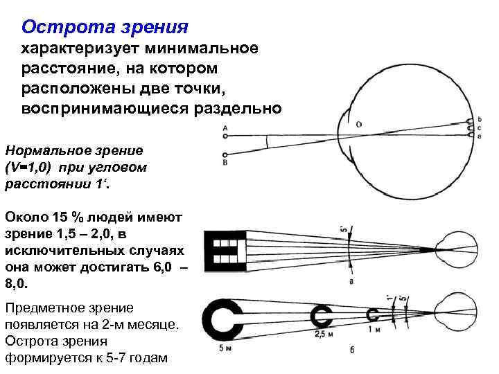Острота зрения характеризует минимальное расстояние, на котором расположены две точки, воспринимающиеся раздельно Нормальное зрение