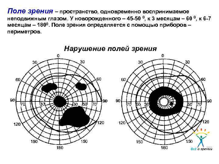 Поле зрения – пространство, одновременно воспринимаемое неподвижным глазом. У новорожденного – 45 -50 0,