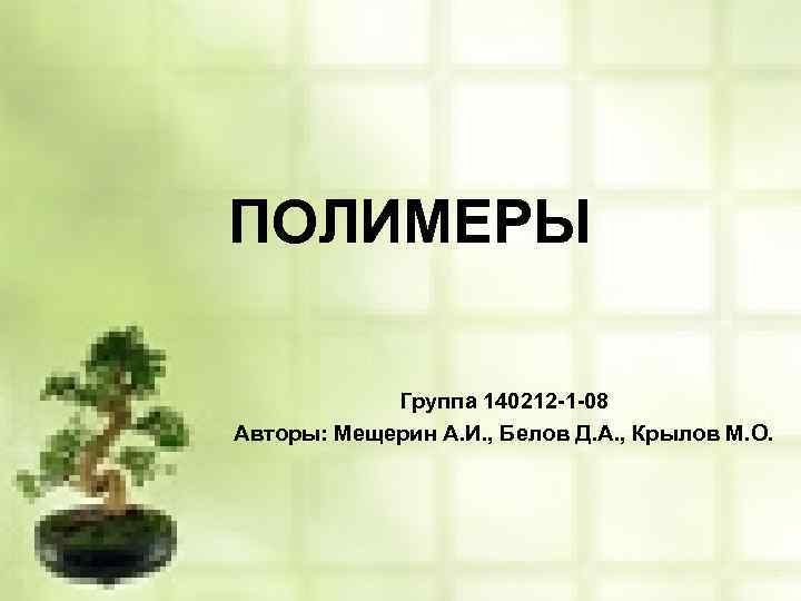 ПОЛИМЕРЫ Группа 140212 -1 -08 Авторы: Мещерин А. И. , Белов Д. А. ,
