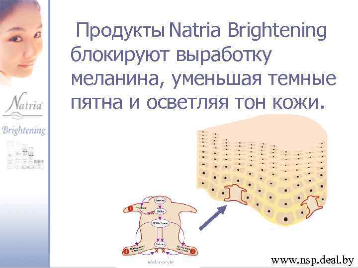 Продукты Natria Brightening блокируют выработку меланина, уменьшая темные пятна и осветляя тон кожи. www.