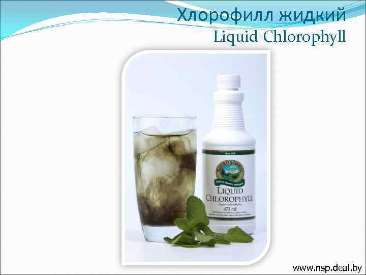 Хлорофилл жидкий Liquid Chlorophyll www. nsp. deal. by 