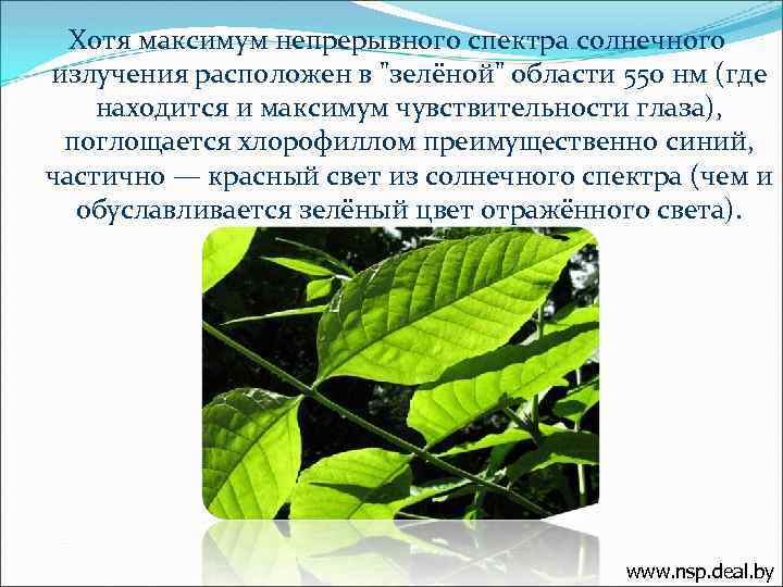 Хотя максимум непрерывного спектра солнечного излучения расположен в "зелёной" области 550 нм (где находится