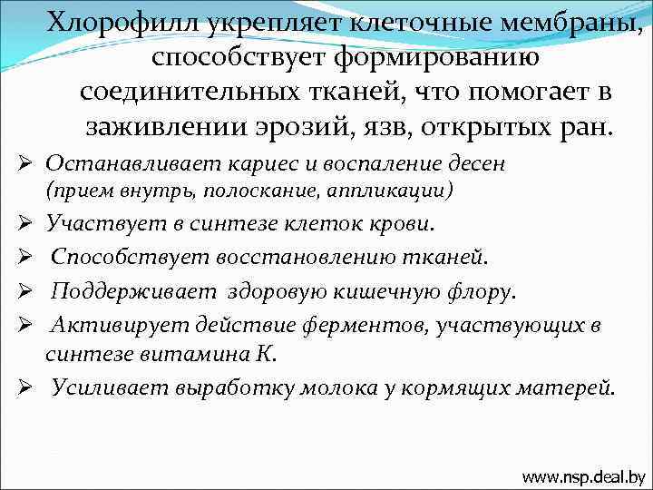 Хлорофилл укрепляет клеточные мембраны, способствует формированию соединительных тканей, что помогает в заживлении эрозий, язв,