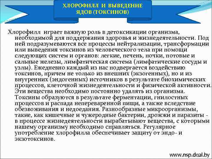 ХЛОРОФИЛЛ И ВЫВЕДЕНИЕ ЯДОВ (ТОКСИНОВ) Хлорофилл играет важную роль в детоксикации организма, необходимой для