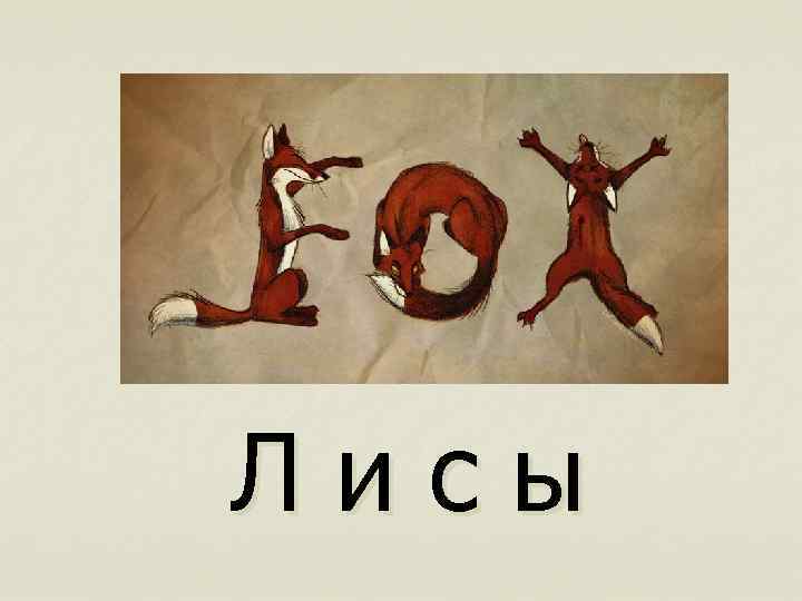 Лисы 
