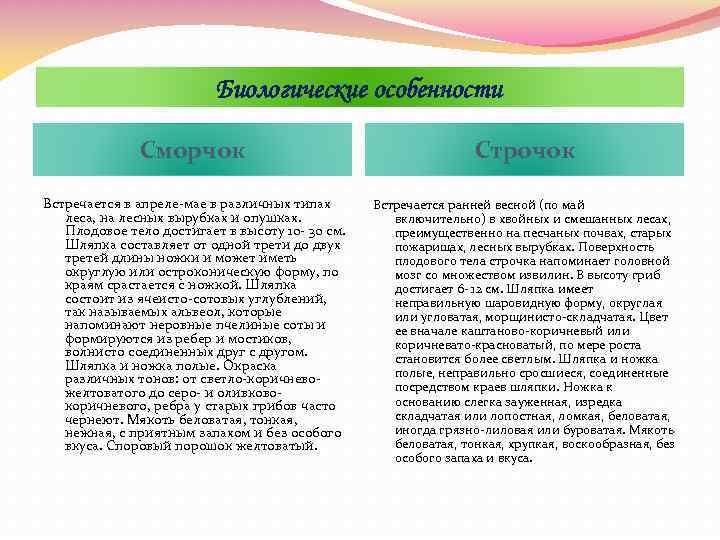 Биологические особенности Сморчок Строчок Встречается в апреле-мае в различных типах леса, на лесных вырубках
