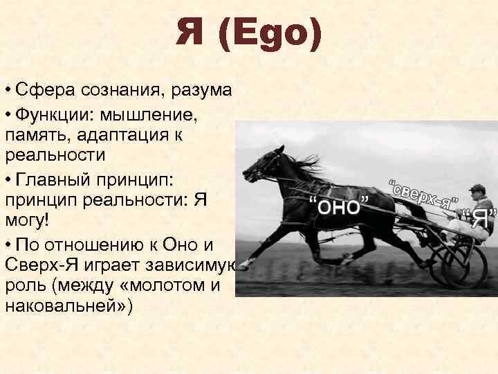 Я (Ego) • Сфера сознания, разума • Функции: мышление, память, адаптация к реальности •