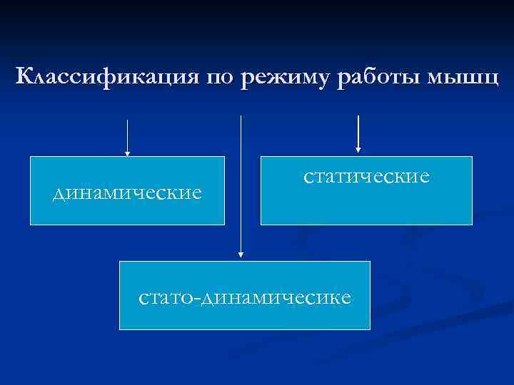 Классификация по режиму работы мышц динамические стато-динамичесике 