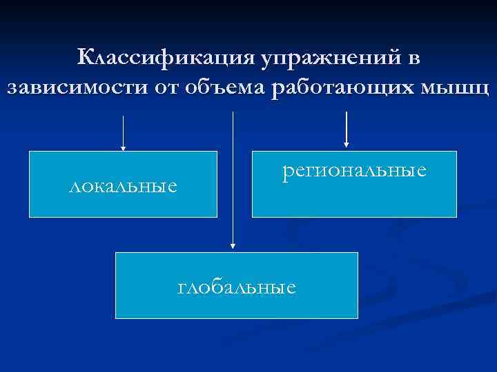 Классификация упражнений в зависимости от объема работающих мышц локальные региональные глобальные 