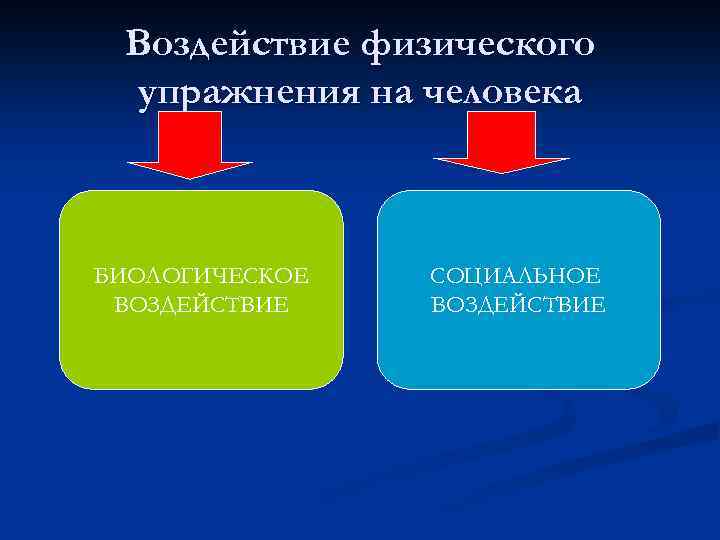 Воздействие физического упражнения на человека БИОЛОГИЧЕСКОЕ ВОЗДЕЙСТВИЕ СОЦИАЛЬНОЕ ВОЗДЕЙСТВИЕ 