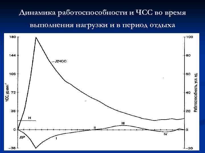 Динамика работоспособности и ЧСС во время выполнения нагрузки и в период отдыха 