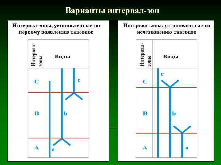 Варианты интервал-зон Интервал-зоны, установленные по первому появлению таксонов Интервал-зоны, установленные по исчезновению таксонов 