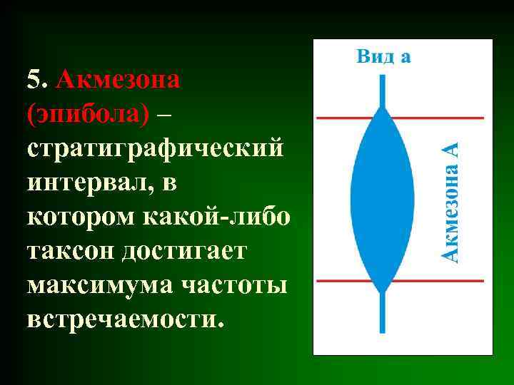 5. Акмезона (эпибола) – стратиграфический интервал, в котором какой-либо таксон достигает максимума частоты встречаемости.