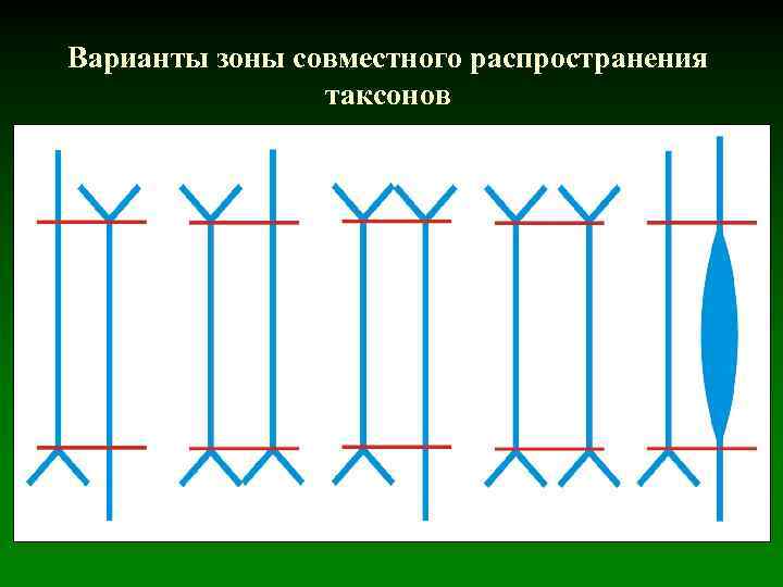 Варианты зоны совместного распространения таксонов 