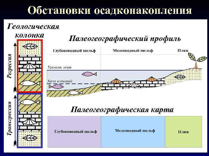 Обстановки осадконакопления Геологическая колонка Палеогеографический профиль Палеогеографическая карта 