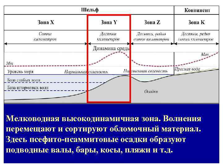 Мелководная высокодинамичная зона. Волнения перемещают и сортируют обломочный материал. Здесь псефито-псаммитовые осадки образуют подводные