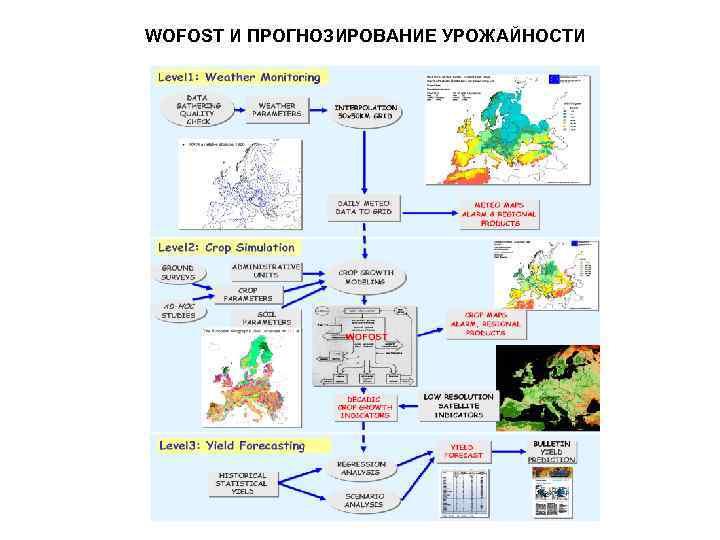 WOFOST И ПРОГНОЗИРОВАНИЕ УРОЖАЙНОСТИ 