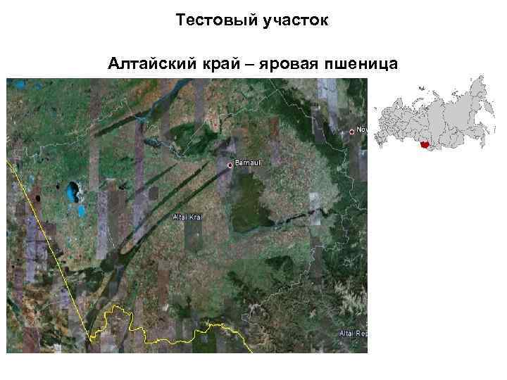 Тестовый участок Алтайский край – яровая пшеница 