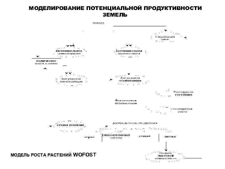 МОДЕЛИРОВАНИЕ ПОТЕНЦИАЛЬНОЙ ПРОДУКТИВНОСТИ ЗЕМЕЛЬ МОДЕЛЬ РОСТА РАСТЕНИЙ WOFOST 